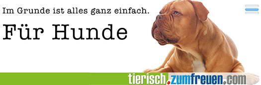 hundeschule hundetrainerin